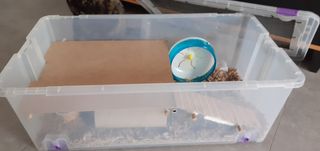 Jaula Hamster completa y grande