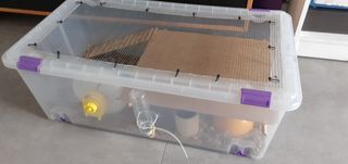 Jaula Hamster completa y grande