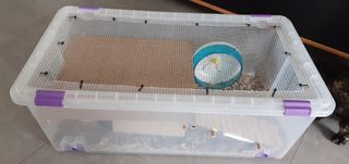 Jaula Hamster completa y grande