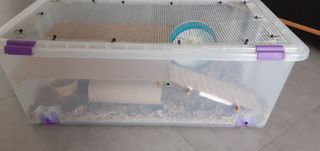 Jaula Hamster completa y grande