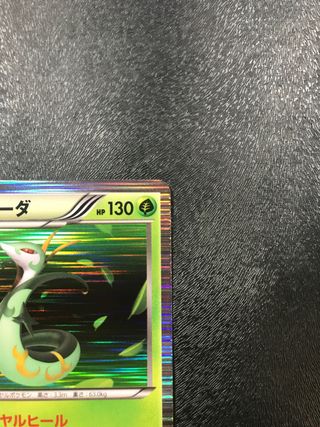 Serperior 1ed HOLO WC - Cartas Pokemon