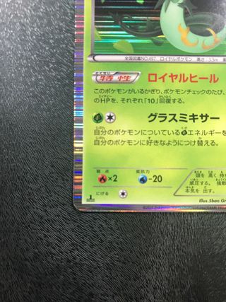 Serperior 1ed HOLO WC - Cartas Pokemon