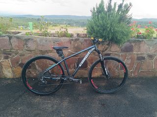 Bicicleta montaña 29