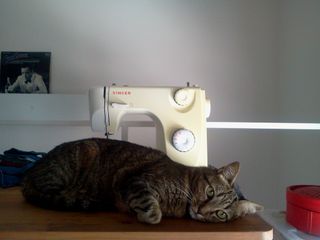 Cuidadora de gatos y plantas