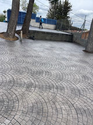 Vane