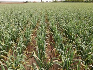 Tierras de cultivo