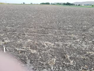 Tierras de cultivo