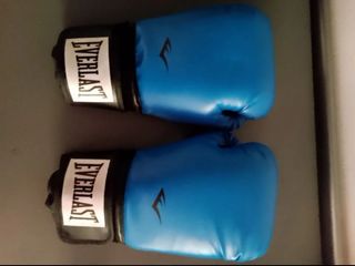 Guantes de boxeo Everlast