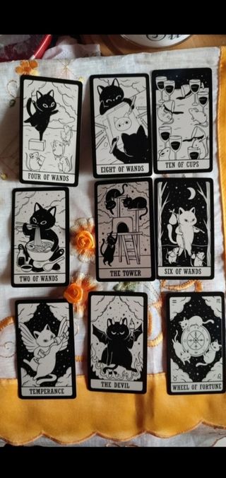 Tarocchi carte 78 cards gatti divine predizione