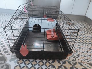 Jaula conejo