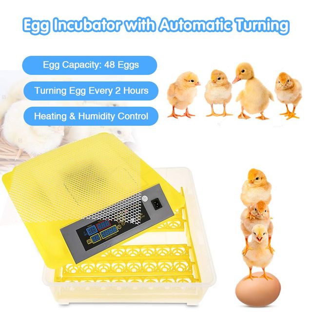 48 Uova Incubatrice Automatica con Umidità,