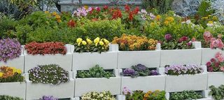 Jardinero Domicilios