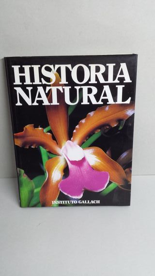Historia Natural Instituto Gallach