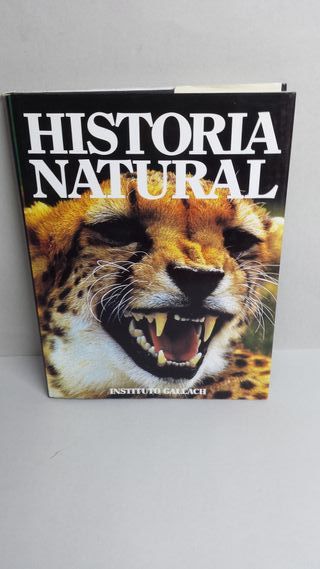 Historia Natural Instituto Gallach