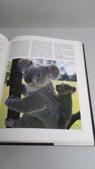 Historia Natural Instituto Gallach