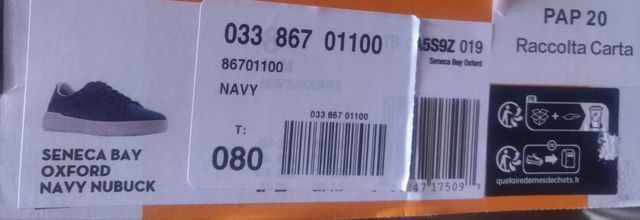 Zapato Timberland azul