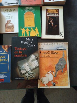 Libros de lectura en muy buen estado