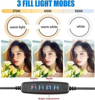 *Anillo de Luz de 10"*