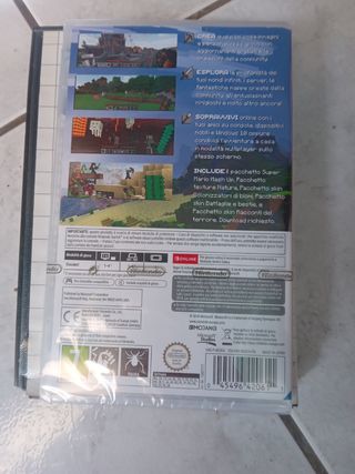 Minecraft switch