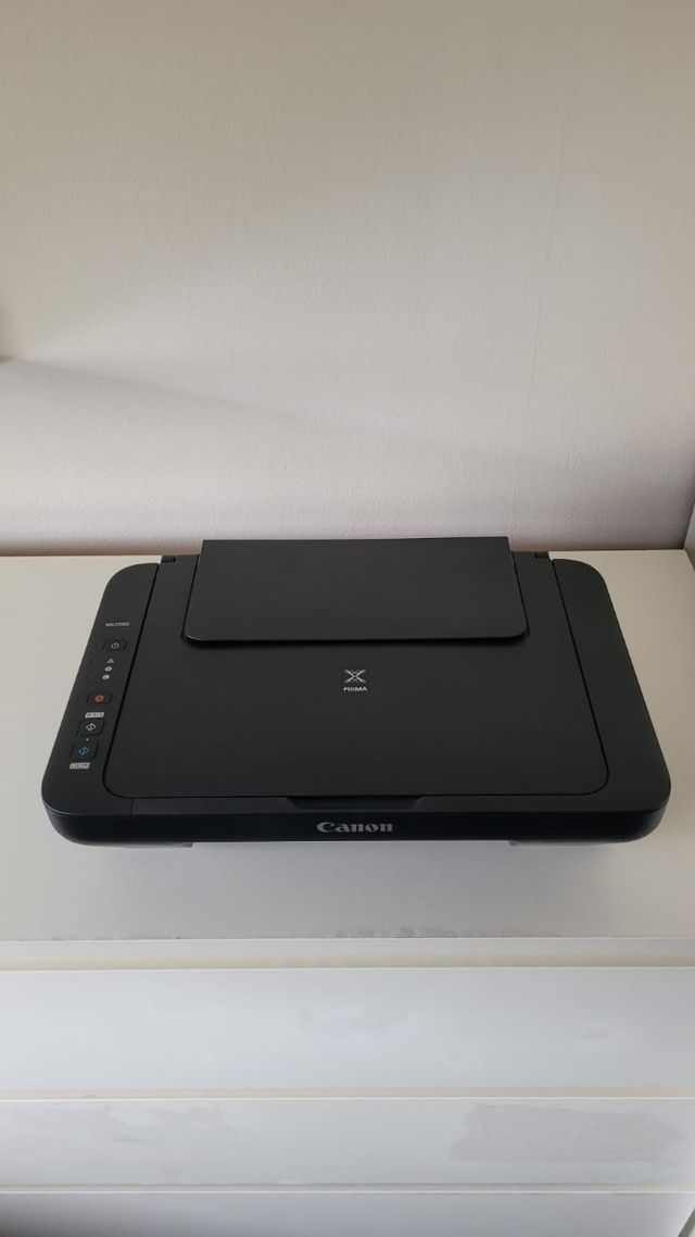 Canon pixma mg2550s
