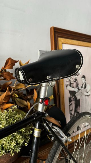 Bicicleta Fixie