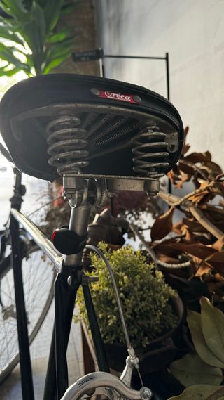Bicicleta Fixie