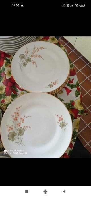 Piatti Richard ginori