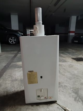 Calentador de gas