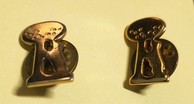 Pin del oso y el Madroño de Madrid