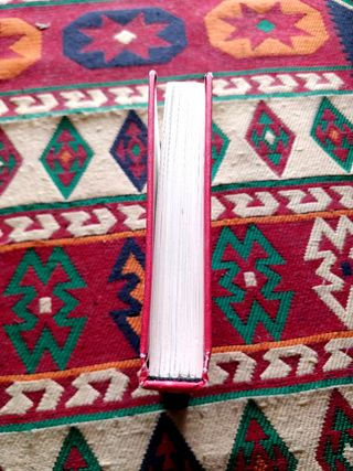 Team Human by Douglas Rushkoff Norton