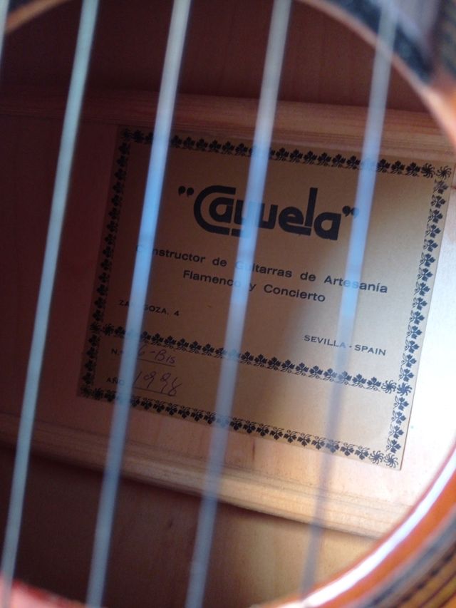 Guitarra andaluza con funda