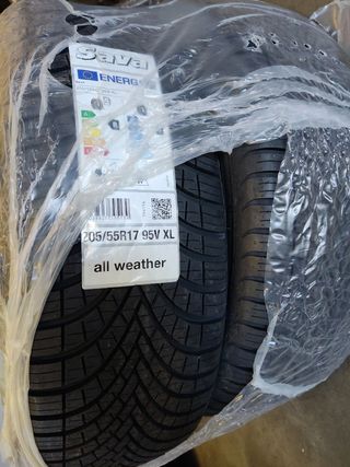 Oferta; 2 Neumáticos SAVA 4 Est. 205/5517 95V