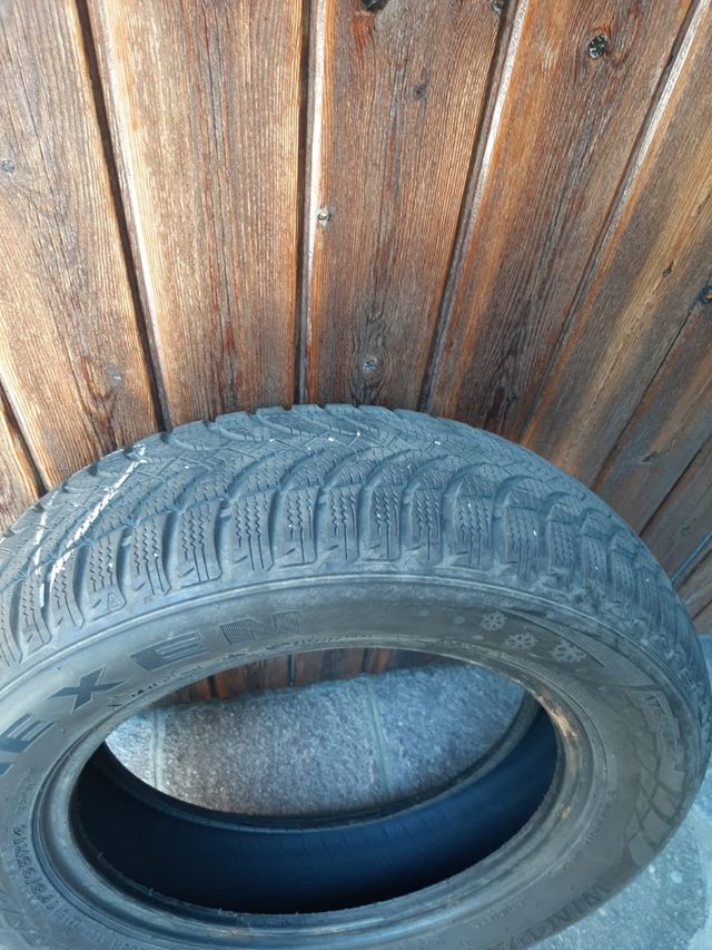 Gomme invernali Nexen