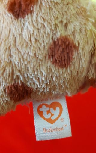 PELUCHE TY Buckwheat Gato lince AÑO 2016