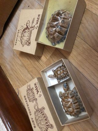 TORTUGAS PORCELANA