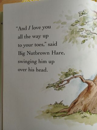 Libro Infantil Guess how mucho con DVD