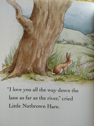 Libro Infantil Guess how mucho con DVD