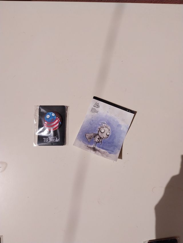 Spilla rara da collezione