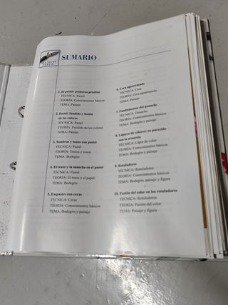 CDs+Teoría: Aprender dibujo y pintura