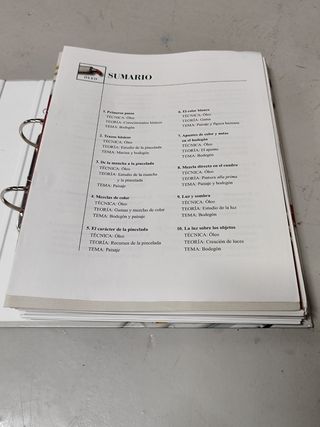 CDs+Teoría: Aprender dibujo y pintura