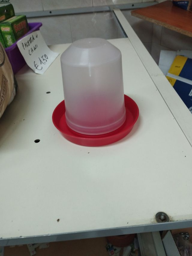 Abbeveratoio per uccelli e pulcini