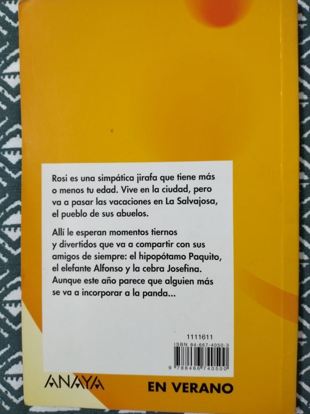 Un verano con Rosi. M Isabel Fuentes