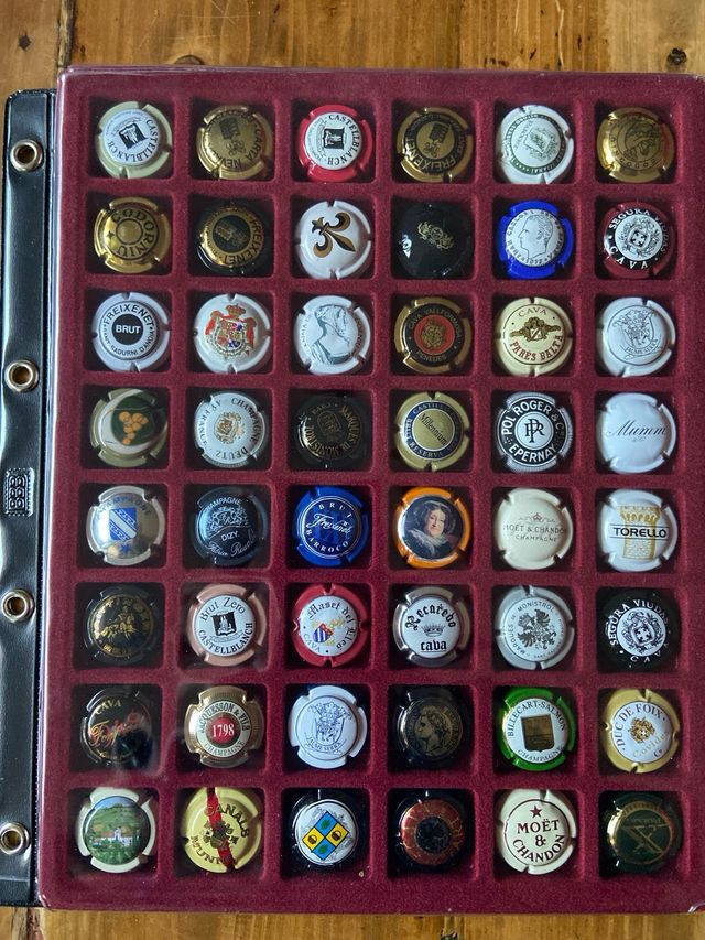 48 Placas de cava y/o champagne 1