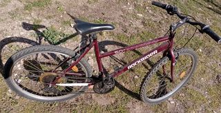 Bicicletas de adultos