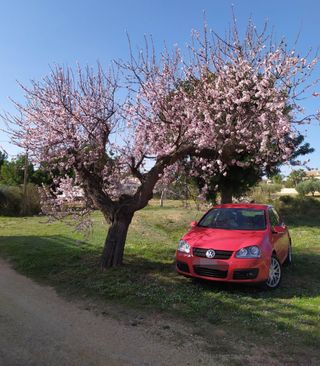 Volkswagen Golf 2007