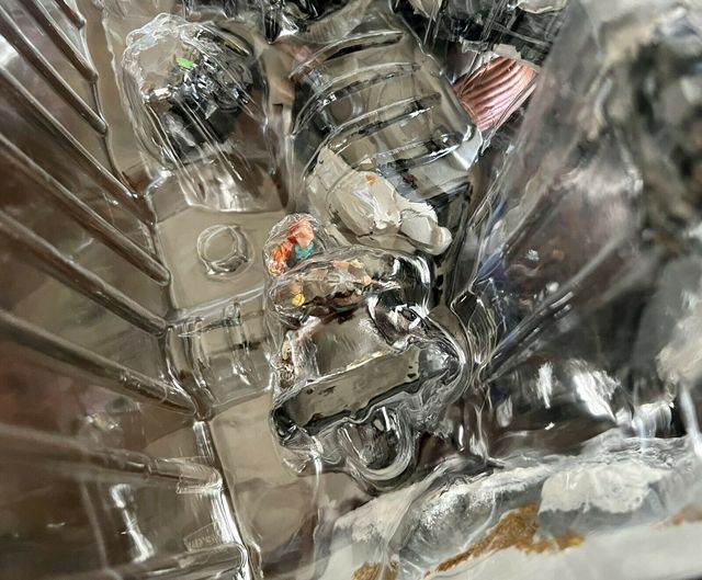 Horizon Forbidden Edición Coleccionista Figura