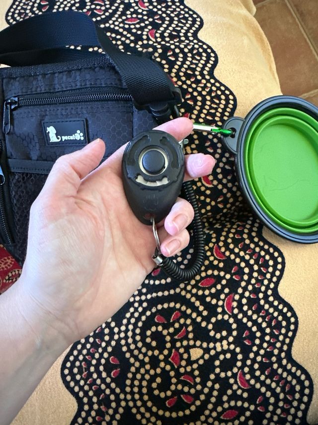 Bandolera paseo perro