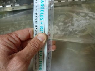 Cortinas plástico nave, 25€ las 6 cortinas