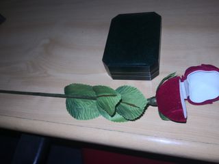 Estuches sortijas, pulseras