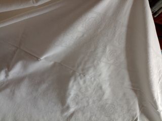 Tovaglia molto grande